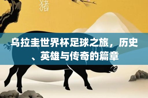 乌拉圭世界杯足球之旅，历史、英雄与传奇的篇章