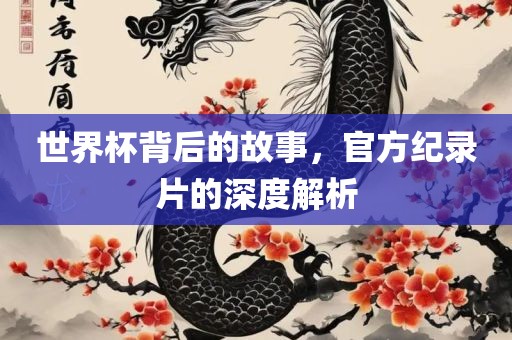 世界杯背后的故事，官方纪录片的深度解析