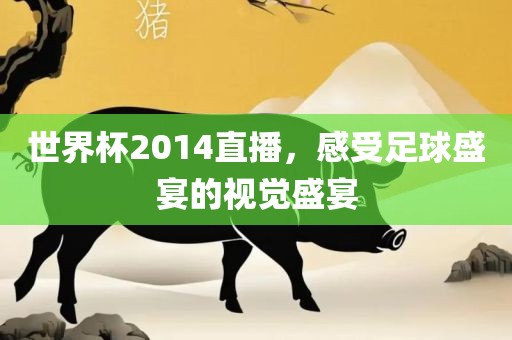 世界杯2014直播，感受足球盛宴的视觉盛宴