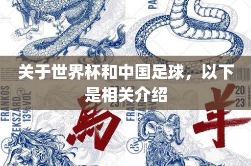 关于世界杯和中国足球，以下是相关介绍