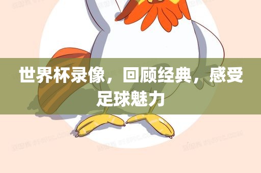 世界杯录像，回顾经典，感受足球魅力