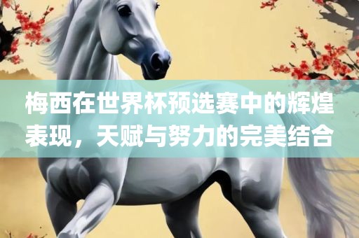 梅西在世界杯预选赛中的辉煌表现，天赋与努力的完美结合