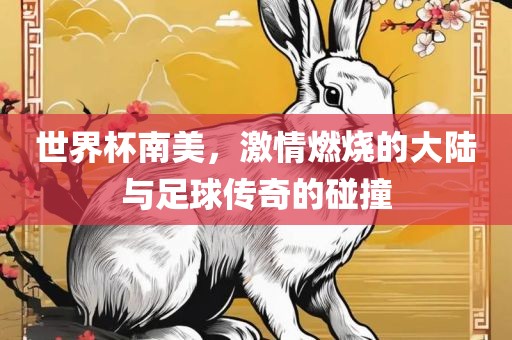 世界杯南美，激情燃烧的大陆与足球传奇的碰撞