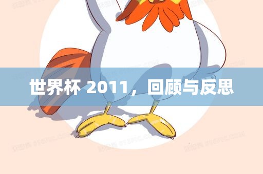 世界杯 2011，回顾与反思
