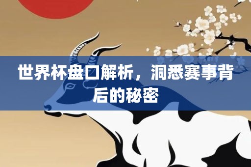 世界杯盘口解析，洞悉赛事背后的秘密
