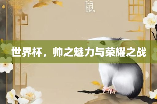 世界杯，帅之魅力与荣耀之战