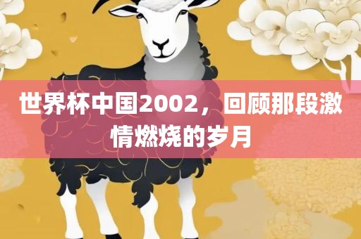 世界杯中国2002，回顾那段激情燃烧的岁月