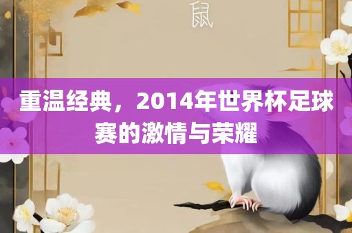 重温经典，2014年世界杯足球赛的激情与荣耀