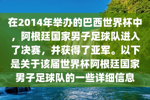 在2014年举办的巴西世界杯中，阿根廷国家男子足球队进入了决赛，并获得了亚军。以下是关于该届世界杯阿根廷国家男子足球队的一些详细信息