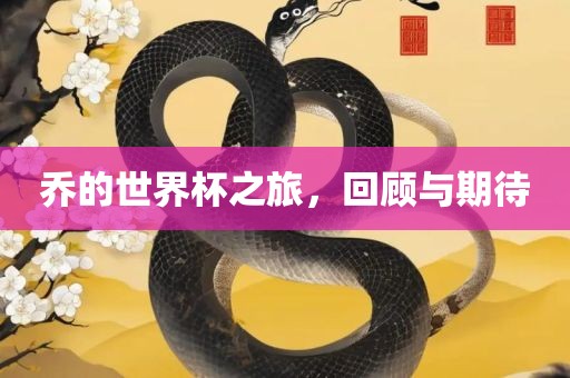 乔的世界杯之旅，回顾与期待