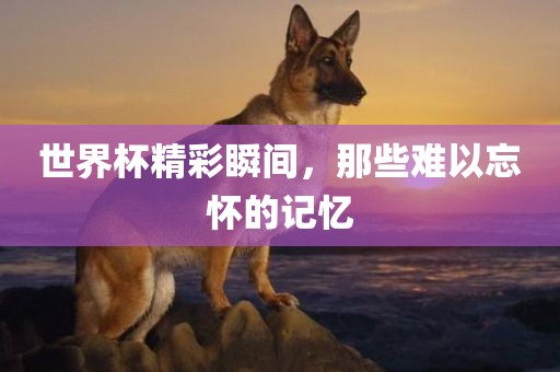 世界杯精彩瞬间，那些难以忘怀的记忆
