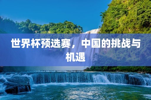 世界杯预选赛，中国的挑战与机遇