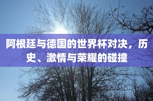 阿根廷与德国的世界杯对决，历史、激情与荣耀的碰撞
