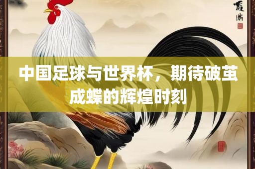 中国足球与世界杯，期待破茧成蝶的辉煌时刻