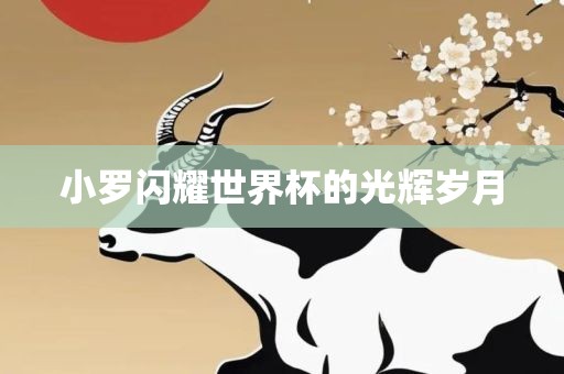 小罗闪耀世界杯的光辉岁月