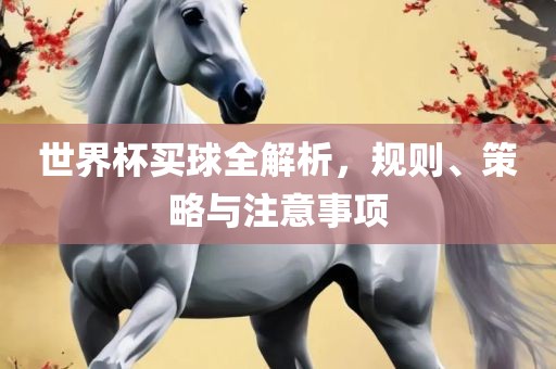 世界杯买球全解析，规则、策略与注意事项
