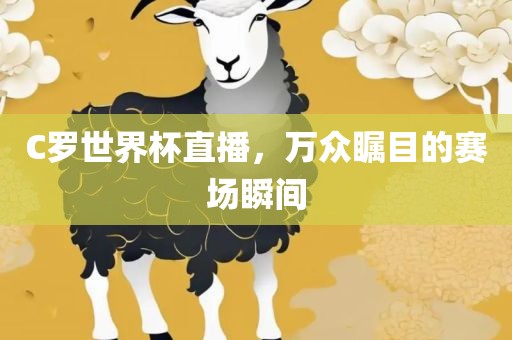 C罗世界杯直播，万众瞩目的赛场瞬间