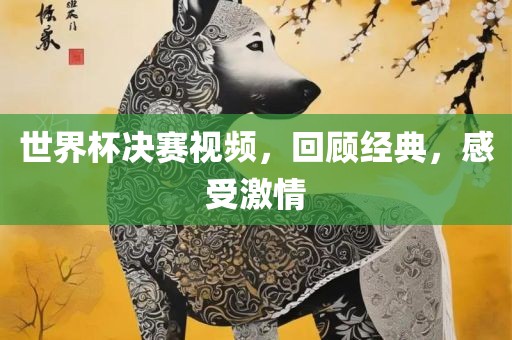 世界杯决赛视频，回顾经典，感受激情