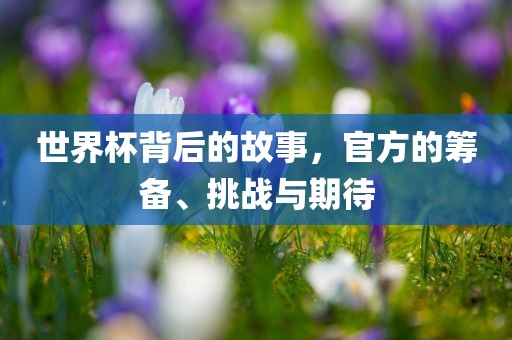 世界杯背后的故事，官方的筹备、挑战与期待