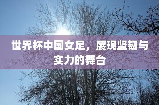 世界杯中国女足，展现坚韧与实力的舞台洛阳市法福文化传播有限公司