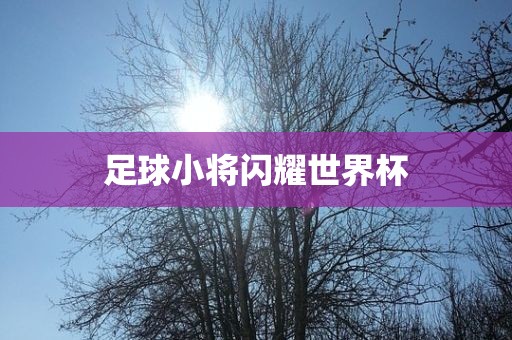 足球小将闪耀世界杯