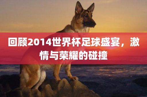 回顾2014世界杯足球盛宴，激情与荣耀的碰撞