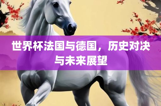 世界杯法国与德国，历史对决与未来展望