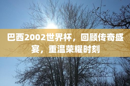 巴西2002世界杯，回顾传奇盛宴，重温荣耀时刻