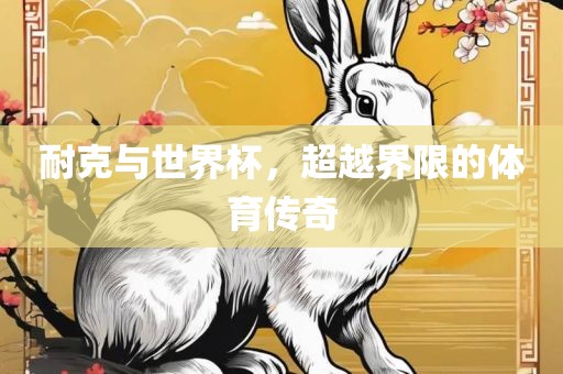 耐克与世界杯，超越界限的体育传奇