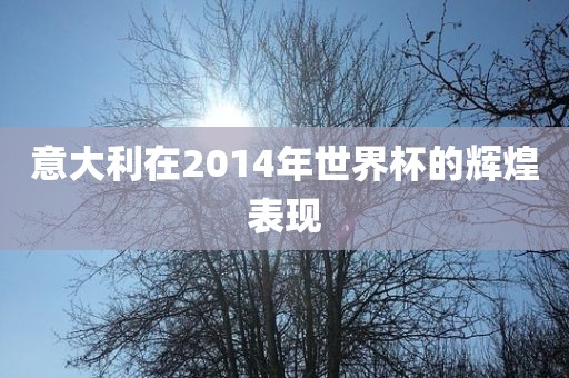 意大利在2014年世界杯的辉煌表现