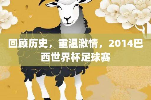 回顾历史，重温激情，2014巴西世界杯足球赛