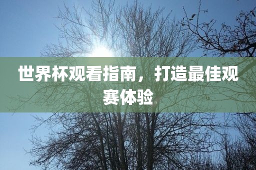世界杯观看指南，打造最佳观赛体验