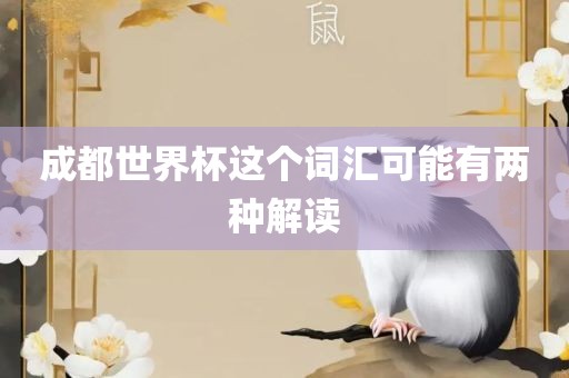成都世界杯这个词汇可能有两种解读