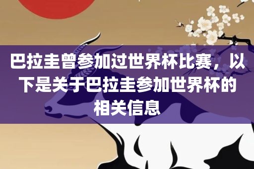 巴拉圭曾参加过世界杯比赛，以下是关于巴拉圭参加世界杯的相关信息