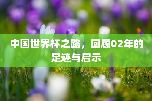 中国世界杯之路，回顾02年的足迹与启示