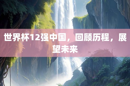世界杯12强中国，回顾历程，展望未来
