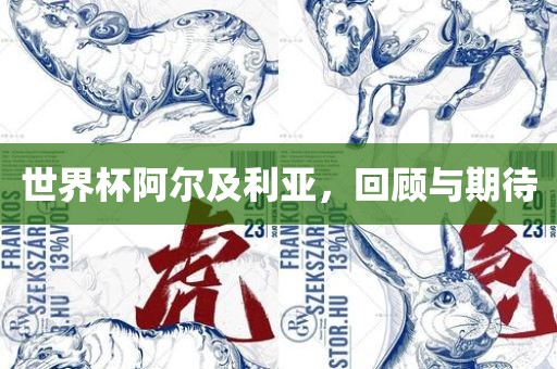 世界杯阿尔及利亚，回顾与期待