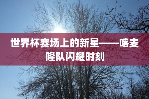 世界杯赛场上的新星——喀麦隆队闪耀时刻