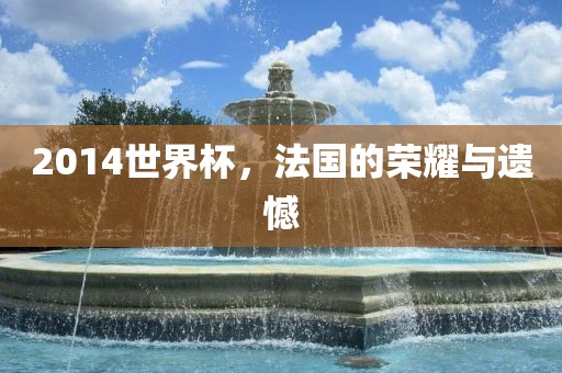 2014世界杯，法国的荣耀与遗憾