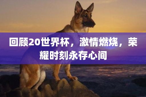 回顾20世界杯，激情燃烧，荣耀时刻永存心间洛阳市法福文化传播有限公司