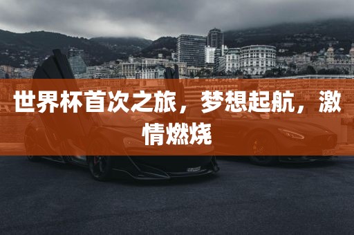 世界杯首次之旅，梦想起航，激情燃烧