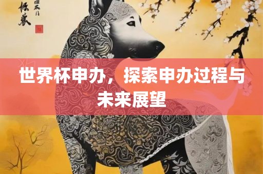 世界杯申办，探索申办过程与未来展望