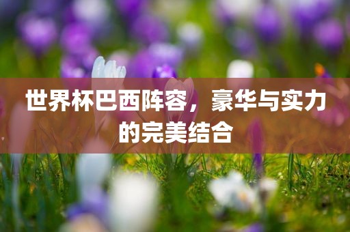 世界杯巴西阵容，豪华与实力的完美结合洛阳市法福文化传播有限公司