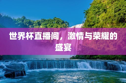 世界杯直播间，激情与荣耀的盛宴