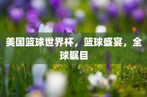 美国篮球世界杯，篮球盛宴，全球瞩目洛阳市法福文化传播有限公司