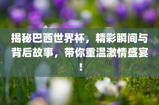 揭秘巴西世界杯，精彩瞬间与背后故事，带你重温激情盛宴！洛阳市法福文化传播有限公司