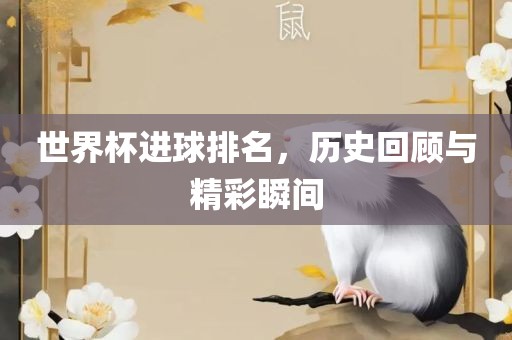 世界杯进球排名，历史回顾与精彩瞬间