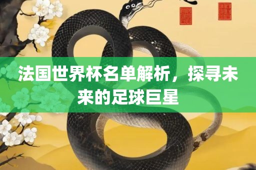 法国世界杯名单解析，探寻未来的足球巨星