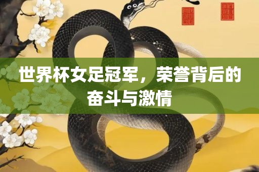 世界杯女足冠军，荣誉背后的奋斗与激情洛阳市法福文化传播有限公司