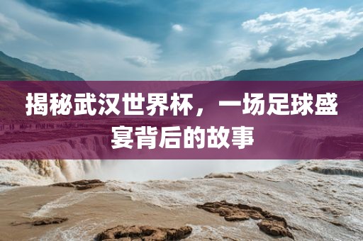 揭秘武汉世界杯，一场足球盛宴背后的故事洛阳市法福文化传播有限公司